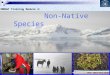 Non - Native Species COMNAP Training Module 2: Photo: L. Frost Photo: Comité Polar Español