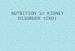 NUTRITION in KIDNEY DISORDER (CKD). RENAL PHYSIOLOGY The kidneys keep the body’s fluids, electrolytes, and organic solutes in a healthy balance or homeostasis