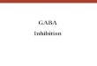 GABA Inhibition. GABA RECEPTOR DISTRIBUTION IN HUMAN BRAIN