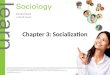 Chapter 3: Socialization. Objectives 3.1 Socialization through Societal Experience – Discuss how societal experience impacts an individual’s socialization