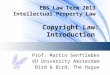 EBS Law Term 2013 Intellectual Property Law Copyright Law: Introduction Prof. Martin Senftleben VU University Amsterdam Bird & Bird, The Hague