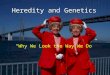 Heredity and Genetics “Why We Look the Way We Do”