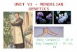 UNIT VI - MENDELIAN GENETICS Baby Campbell – Ch 9 Big Campbell – Ch 14, 15