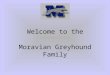 Welcome to the Moravian Greyhound Family We are so glad that you chose to come to Moravian and We wish you success and happiness in your years as Moravian