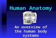 Human Anatomy An overview of the human body systems