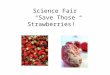 Science Fair “Save Those Strawberries!”. Purpose/Problem Statement The purpose of this project is to discover which way of storing strawberries works