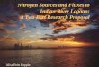 Nitrogen Sources and Fluxes to Indian River Lagoon: A Two Part Research Proposal Alisa Britt Kepple
