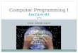 ENGR. SHOAIB ASLAM Computer Programming I Lecture 02