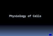 Physiology of Cells. Movements through cell membranes  Basics: Movement of molecules will be either  Passive or Active  Passive processes require no
