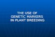 THE USE OF GENETIC MARKERS IN PLANT BREEDING. Use of Molecular Markers Clonal identity, Family structure, Population structure, Phylogeny (Genetic Diversity)