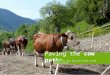 Paving the cow paths HTML5 the next big old thing in web applications