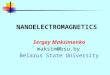 Sergey Maksimenko maksim@bsu.by Belarus State University NANOELECTROMAGNETICS