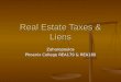 Real Estate Taxes & Liens Zaharopoulos Phoenix College REA179 & REA180