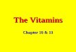 The Vitamins Chapter 10 & 11. The Water-Soluble Vitamins: B and C (there are 8 B Vitamins) The Fat-Soluble Vitamins: A, D, E, and K