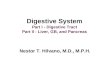 Digestive System Part I - Digestive Tract Part II - Liver, GB, and Pancreas Nestor T. Hilvano, M.D., M.P.H