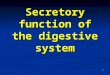 Secretory function of the digestive system 1. Objectives Describe the location of the salivary glands, composition and function of saliva. Outline the