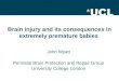 Brain injury and its consequences in extremely premature babies John Wyatt Perinatal Brain Protection and Repair Group University College London