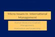 Micro Issues In International Management Human Resource (Capital) Management, Motivation and Leadership