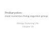 Prokaryotes- most numerous living organism group Biology Exploring Life- Chapter 16