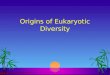 Origins of Eukaryotic Diversity. Eukaryotic Tree