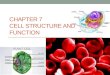 CHAPTER 7 CELL STRUCTURE AND FUNCTION. 7.1 LIFE IS CELLULAR