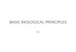 BASIC BIOLOGICAL PRINCIPLES A1. A1. Basic Biological Principles 1.Describe the characteristics of life shared by all prokaryotic and eukaryotic organisms