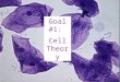 Goal #1: Cell Theory. Anton Van Leeuwenhoek Dutch fabric merchant. Amateur Scientist. Made the first microscope. 1600’s