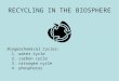 RECYCLING IN THE BIOSPHERE Biogeochemical Cycles: 1. water cycle 2. carbon cycle 3. nitrogen cycle 4. phosphorus