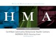 HMA HealthManagement.com Certified Community Behavioral Health Centers SAMHSA 2015 Planning Grant July 2, 2015