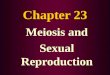 Chapter 23 Meiosis and Sexual Reproduction Asexual Reproduction (review) Single parent gives rise to new offspring by mitotic cell division Each new