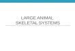LARGE ANIMAL SKELETAL SYSTEMS. Functions of the Skeletal System Form Protection Support Strength