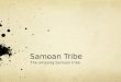 Samoan Tribe The amazing Samoan tribe. Origin Location 3,700 kilometers southwest Hawaii. Two islands Samoa and American Samoa. Not moved, owned by other