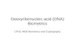 Deoxyribonucleic acid (DNA) Biometrics CPSC 4600 Biometrics and Cryptography