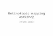 Retinotopic mapping workshop COSMO 2012. Starting materials In the folder ‘COSMO’ you will find raw data and toolboxes – as if you had just finished an