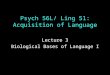Psych 56L/ Ling 51: Acquisition of Language Lecture 3 Biological Bases of Language I