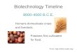 Biotechnology Timeline 8000-4000 B.C.E. Humans domesticate crops and livestock. Potatoes first cultivated for food. From:
