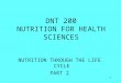 1 DNT 200 NUTRITION FOR HEALTH SCIENCES NUTRITION THROUGH THE LIFE CYCLE PART 2