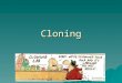 Cloning. What is cloning?  Duplicating biological material –Natural clones exist!! Identical twins –Asexual reproduction  Three types: 1.Recombinant