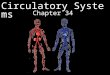 Circulatory Systems Chapter 34. Circulatory Systems 2 Internal Transport in Animals The Problem: All animal cells need to acquire nutrients & oxygen from