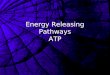 Energy Releasing Pathways ATP Aerobic Respiration A redox process Glucose contains energy that can be converted to ATP Uses oxygen therefore aerobic