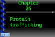 Chapter 25 Protein trafficking. 25.1 Introduction 25.2 Oligosaccharides are added to proteins in the ER and Golgi 25.3 The Golgi stacks are polarized