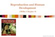 Copyright © Allyn & Bacon 2008 Reproduction and Human Development (Miller Chapter 4)