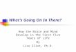 What’s Going On In There? How the Brain and Mind Develop in the First Five Years of Life By Lise Eliot, Ph.D
