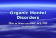 Organic Mental Disorders Elisa A. Mancuso RNC, MS, FNS Professor
