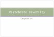 Chapter 34 Vertebrate Diversity. Chordate Phylogeny
