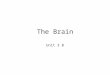 The Brain Unit 3 B. The Brain Phineas Gage Video  7058Q 7058Q