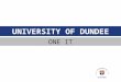 UNIVERSITY OF DUNDEE ONE IT. Business Services Structure Review Mark Lloyd Assistant Director, Business Services