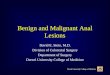 Drexel University College of Medicine Benign and Malignant Anal Lesions David E. Stein, M.D. Division of Colorectal Surgery Department of Surgery Drexel