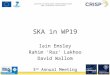 SKA in WP19 Iain Emsley Rahim ‘Raz’ Lakhoo David Wallom 3 rd Annual Meeting