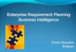 Erwin Moeyaert Belgium Enterprise Requirement Planning Business Intelligence